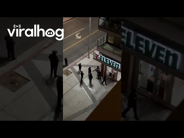 Food Delivery Halted By Armed Police In LA || ViralHog