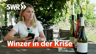 Winzer in der Krise – Was wird aus dem Weinland Rheinland-Pfalz? I Zur Sache! Rheinland-Pfalz
