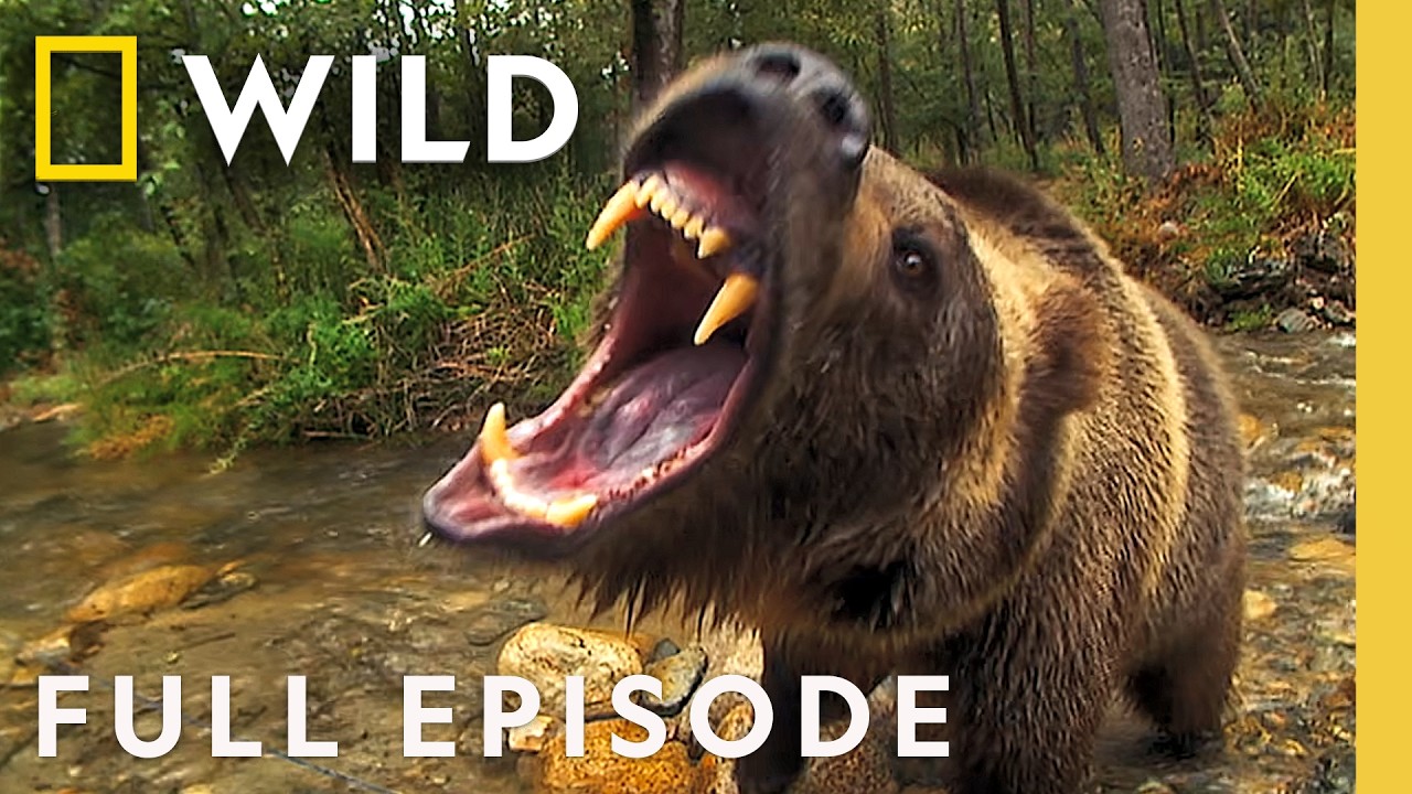 Inside America's Last Wild Frontier (Full Episode) | Alaska's Deadliest | Nat Geo Animals