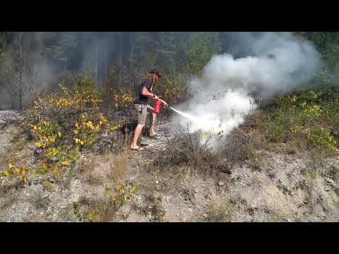 Good samaritans fight BC wildfire on the side of the Trans-Canada Highway!
