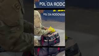 PRF apreende 4,5 kg de skunk em ônibus na BR 290 e prende traficante em Eldorado do Sul