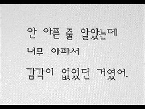 나비 길에서
