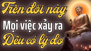 Không có gì là ngẫu nhiên — Tất cả đều được Trời sắp đặt một cách hoàn hảo