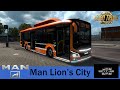 New Man Lion’s City 1.39