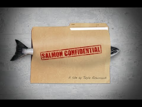 Salmon Confidential'