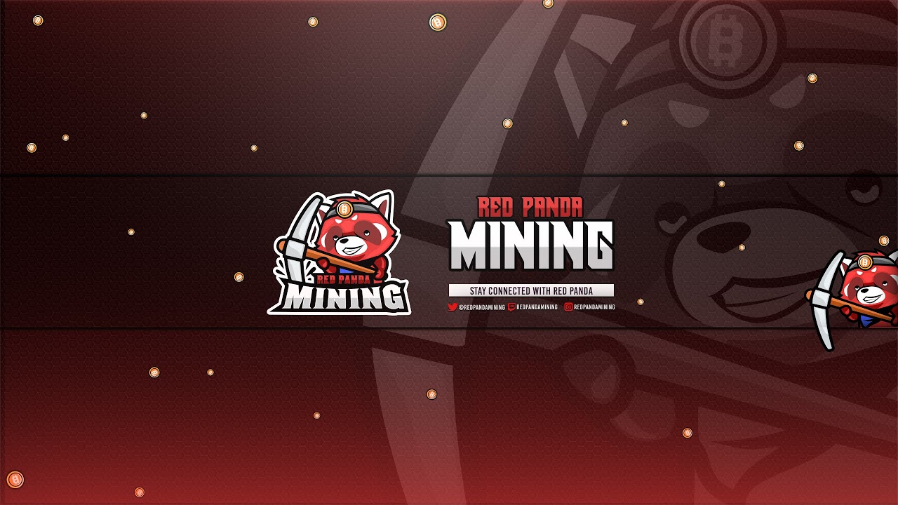 Red Panda Mining Live Stream 8 internet went out