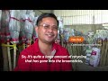 Upcycling: turning plastic bottles into brooms in Cambodia | REUTERS  - 02:50 min - News - Video