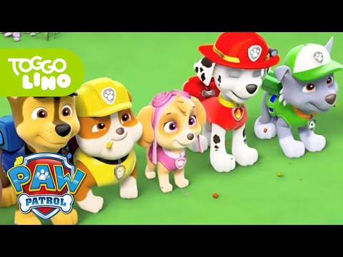 Der PAW Patrol Song zum Mitsingen | Toggolino Serien