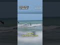 Sperm whale dies after beaching along Florida’s Gulf Coast  - 00:13 min - News - Video