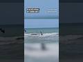 Sperm whale dies after beaching along Florida’s Gulf Coast