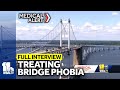 Full interview: Doctor addresses anxiety related to bridge phobia