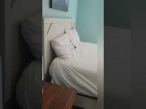 宿泊施設による動画