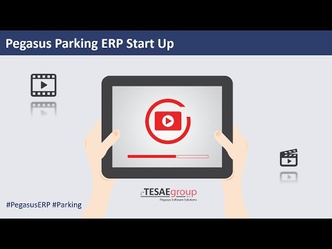 Pegasus Parking ERP Start Up
