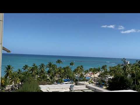 Video realizado por la propiedad