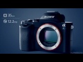 Sony a7s - камера для видеографа | Sony a7s - обзор