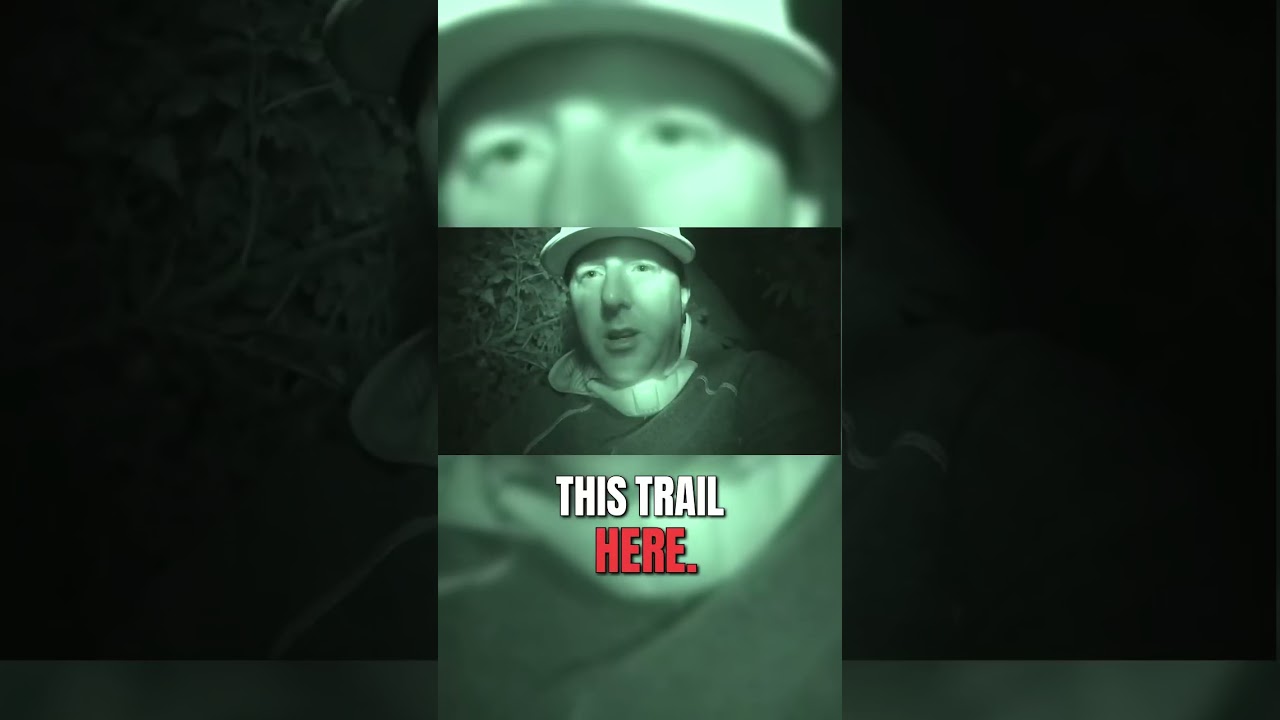 I Shouldn't Have Gone Into That HAUNTED Forest Alone