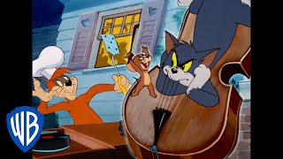 Tom a Jerry - To byla noc