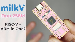 Milk-V Duo 256M - The SBC Stick That Can Dual Boot RISC-V and ARM