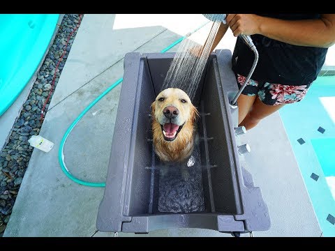 PUPPY LOVES HIS NEW CUSTOM DOG BATH - Super Cooper Sunday #157