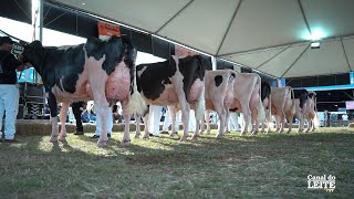 Fenasul Expoleite 2025 destacou a força do leite e da pecuária gaúcha