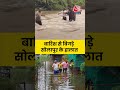 Maharashtra के सोलापुर में बारिश-बाढ़ से तबाही, क्या हैं हालात? #shorts #aajtak - 01:07 min - News - Video