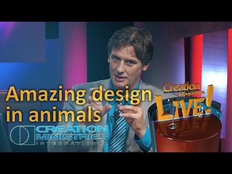 Amazing design in animals (Creation Magazine LIVE! 4-10)