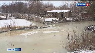 Половодье в середине зимы: в Омске практически полностью затопило дачный посёлок