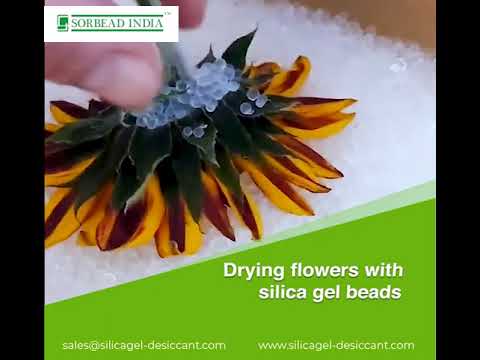 Flower Drying with Silica Gel beads | SORBEAD INDIA