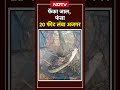 Python VIRAL VIDEO: मछली के लिए फेंका जाल, फंसा 20 फीट लंबा अजगर | Bihar News | Banka | NDTV India  - 00:23 min - News - Video