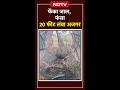 Python VIRAL VIDEO: मछली के लिए फेंका जाल, फंसा 20 फीट लंबा अजगर | Bihar News | Banka | NDTV India