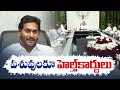 CM Jagan directs officials to issue health cards for animals