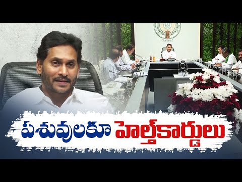 CM Jagan directs officials to issue health cards for animals CM Jagan directs officials to issue health cards for animals