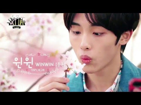 NCT WinWin Cutest Moments in NCT Life Osaka