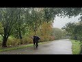 LIVE: Watch America’s stunning fall colors  - 00:00 min - News - Video