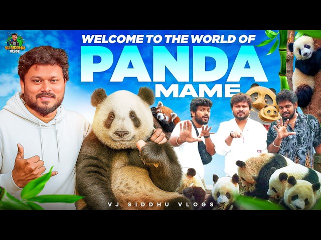 Red Colour-ல Panda இருக்கா🐼🤩 | China Series | Ep - 09 | Vj Siddhu Vlogs