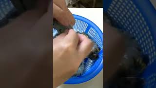 Ẩm thực #81 | Cooking  #shorts #amthuc #food #nấuăn #nauancungtiktok #cooking #cook