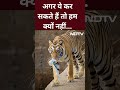 जंगल से बाघ का संदेश, No Plastic please  - 00:47 min - News - Video