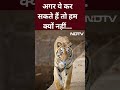 जंगल से बाघ का संदेश, No Plastic please