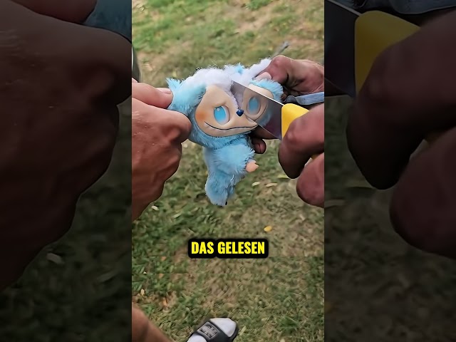 Sie Haben Das im Inneren Eines Kuscheltiers Gefunden 😱🧸