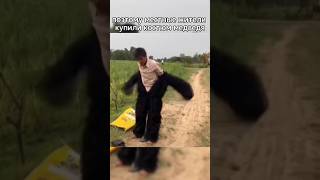 Квадроберы РАСПУГИВАЮТ ОБЕЗЬЯН! #shorts #шортс
