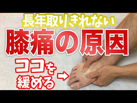 吉川智也 最新動画まとめ まとめちゅーぶ