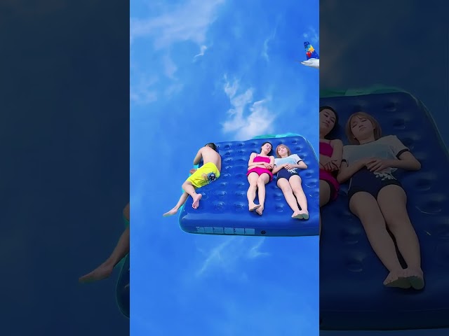 coco掉水里了#short #cute #funny