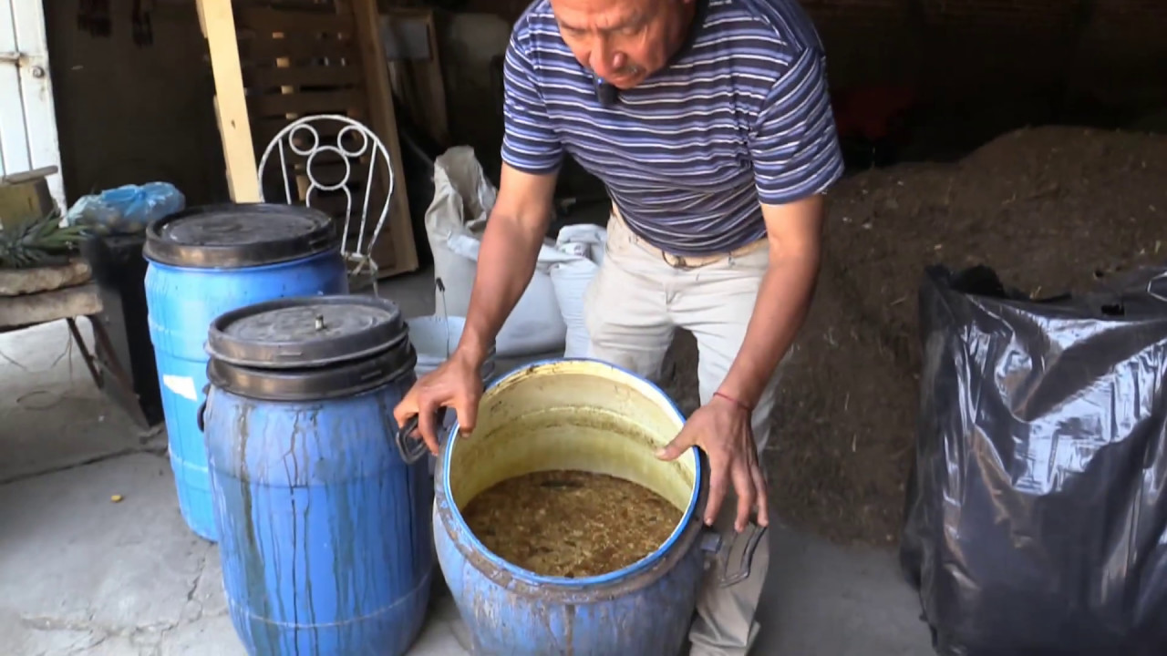 Cáscara de naranja como abono