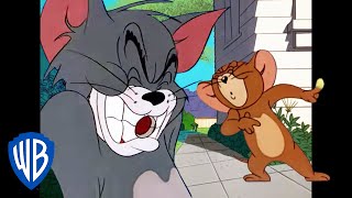 Tom a Jerry - To muselo bolet