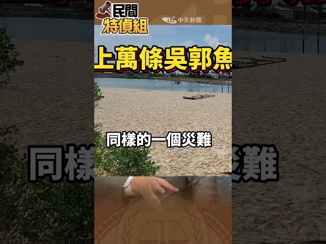 當年張善政院長對待賴清德市長災區救援高下立判【#民間特偵組 204-2】#shorts #救災 #賴清德 #謝龍介 #民間特偵組 #張善政 #賴小櫻