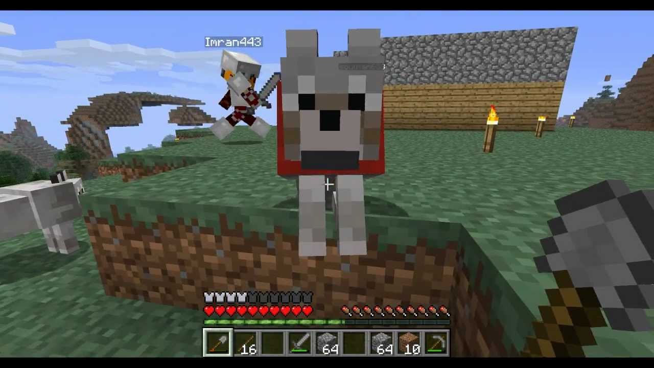 Let's Play Minecraft: Episode #21 - Who Let The Dogs Out? - YouTube