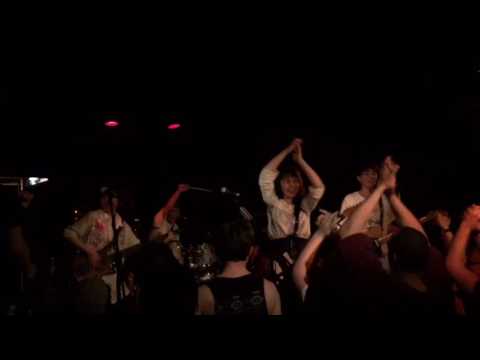指先ノハク-フェスタブルー【LIVE MUSIC VIDEO】