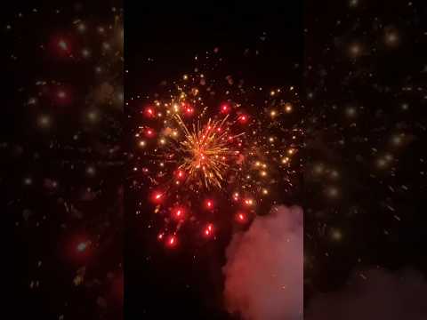 viral shorts youtube #parulrathva #dj #timli #shorts #shortsfeed #viral #subscribe #news #live