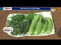 వేసవి కూరగాయ సాగులో పాటించాల్సిన మెళకువలు | Techniques in Summer Vegetable Cultivation | 10TV  - 05:14 min - News - Video