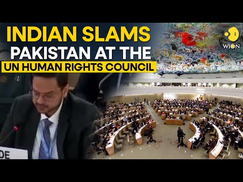 "Pakistan A Failed State Surviving On International Handouts," Indian Diplomat Slams Pak At UNHRC